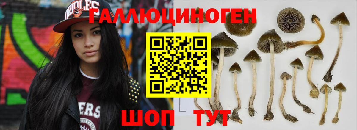Тюмень  Галлюциногенные грибы GOLDEN TEACHER  Вход с VPN 